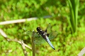 08 06 16_7144_edited-1